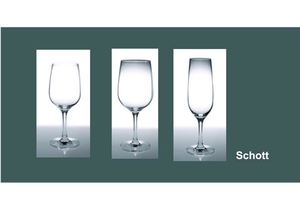 Ποτήρια σειρά Schott - Σαμπάνιας 16 cl